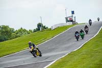 anglesey;brands-hatch;cadwell-park;croft;donington-park;enduro-digital-images;event-digital-images;eventdigitalimages;mallory;no-limits;oulton-park;peter-wileman-photography;racing-digital-images;silverstone;snetterton;trackday-digital-images;trackday-photos;vmcc-banbury-run;welsh-2-day-enduro